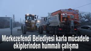Merkezefendi Belediyesi'nin karla mücadelesi aralıksız sürüyor