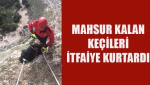 Yamaçta mahsur kalan keçilerin yardımına itfaiye koştu