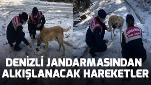 Can dostlar Jandarmaya Emanet