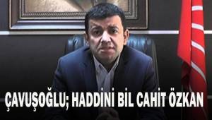 Çavuşoğlu; Haddini bil Cahit Özkan