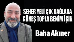 Güneş Topla Benim İçin