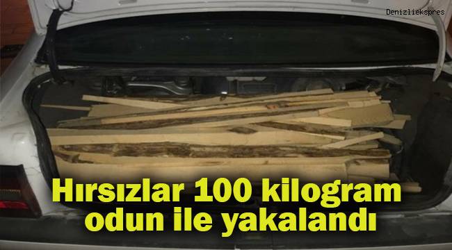 Hırsızlar 100 kilogram odun ile yakalandı
