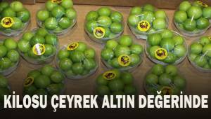 Kilosu çeyrek altın değerinde