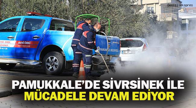 PAMUKKALE’DE SİVRSİNEK İLE MÜCADELE DEVAM EDİYOR