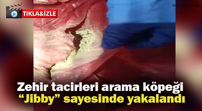 Zehir tacirleri, arama köpeği