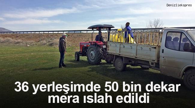 36 yerleşimde 50 bin dekar mera ıslah edildi