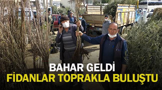 Baharın gelmesiyle fidanlar toprakla buluşmaya başladı