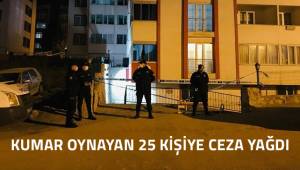 Denizli’de 232 işyeri denetlenerek, 732 kişinin GBT ve HES Kodu sorgulaması yapıldı