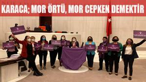 Karaca; Bu ceza şahsım ve tüm kadınlar adına şeref madalyasıdır