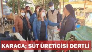 Karaca; Süt üreticisi dertli