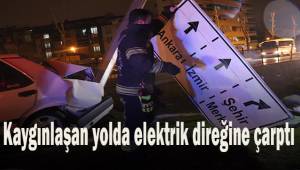 Kayganlaşan yolda aydınlatma direğine çarptı