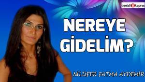 Nereye Gidelim?