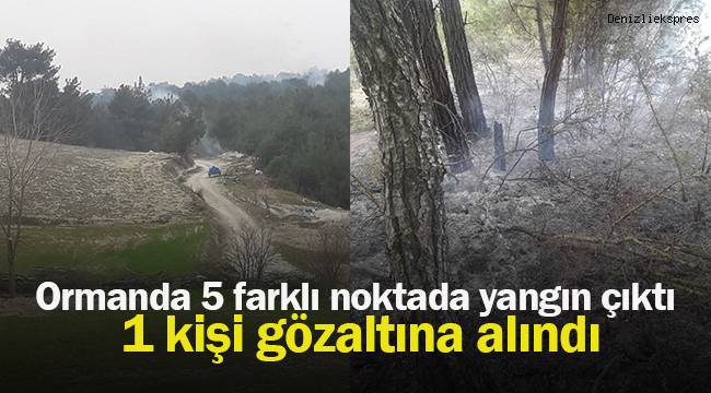 Ormanda 5 farklı noktada yangın çıktı, 1 kişi gözaltına alındı
