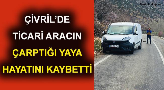 Süt toplama merkezinden dönerken hayatını kaybetti