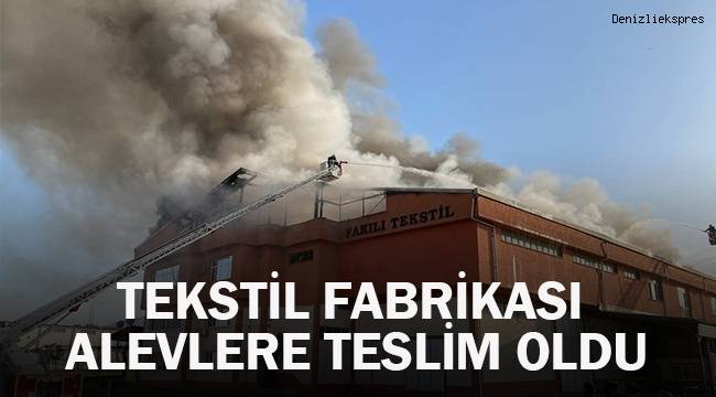 Tekstil fabrikası alevlere teslim oldu