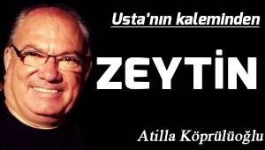 Zeytin