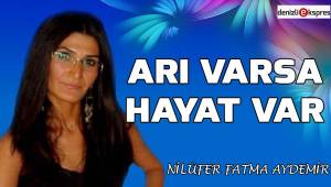 Arı varsa hayat var