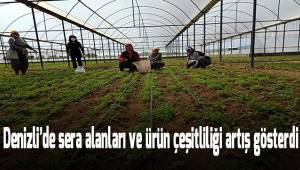 Denizli'de sera alanları ve ürün çeşitliliği artış gösterdi