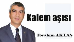 Kalem aşısı