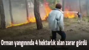 Karataş'ta çıkan orman yangınında 4 hektarlık alan zarar gördü