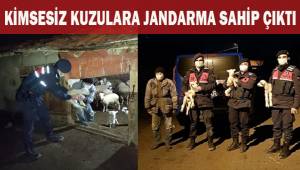 Kimsesiz kuzulara jandarma sahip çıktı