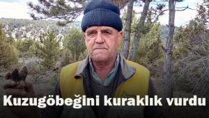 Kuzugöbeğini kuraklık vurdu