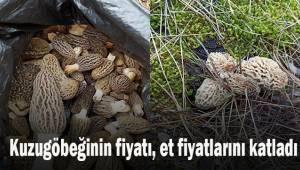 Kuzugöbeğinin fiyatı, et fiyatlarını katladı