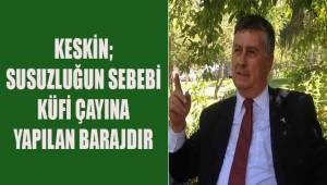 Adnan Keskin, susuzluğun sebebi Küfi Çayı'na yapılan baraj ve göletlerdir