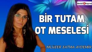 Bir Tutam Ot Meselesi (1)