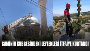 Caminin kubbesindeki leylekleri itfaiye kurtardı