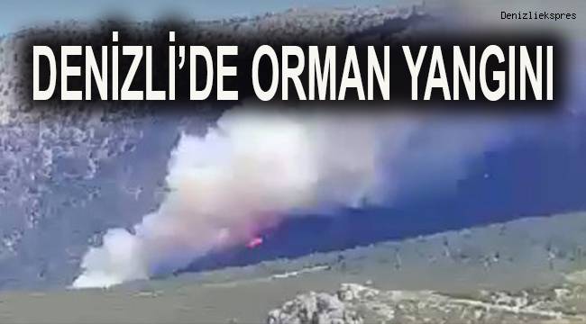 Denizli'de orman yangını