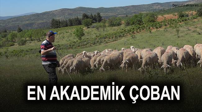 En akademik çoban