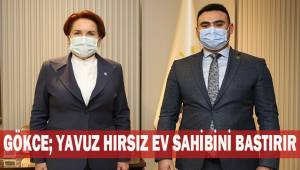 Gökce; Yavuz hırsız ev sahibini bastırır