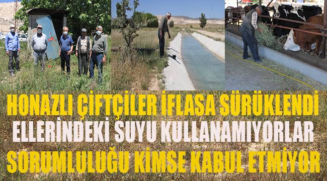 Honazlı çiftçiler susuzluk nedeniyle iflasın eşiğine geldiler