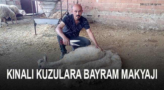 Kınalı kuzulara bayram makyajı