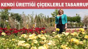 Merkezefendi Belediyesi kendi ürettiği çiçeklerle tasarruf sağlıyor