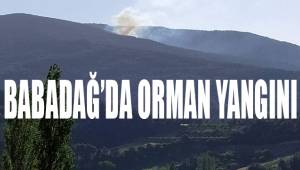 Orman yangınında 3 dönümlük alan küle döndü