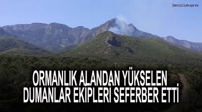 Ormanlık alandan yükselen dumanlar ekipleri seferber etti