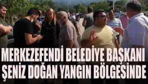 Başkan Doğan Göveçlik'teki yangın söndürme çalışmalarını yakından takip etti