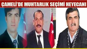 Çameli'nin Kalınkoz Mahallesi'nde muhtarlık seçimi