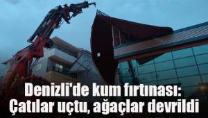 Denizli'de kum fırtınası: Çatılar uçtu, ağaçlar devrildi