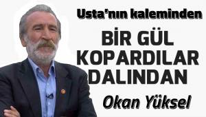 BİR GÜL KOPARDILAR DALINDAN