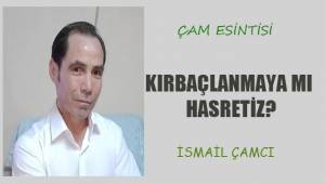 Kırbaçlanmaya mı hasretiz?