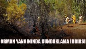 Orman yangınında kundaklama iddiası