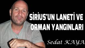 SİRİUS'UN LANETİ VE ORMAN YANGINLARI