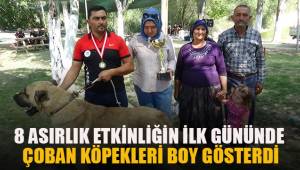 8 asırlık etkinliğin ilk gününde çoban köpekleri boy gösterdi
