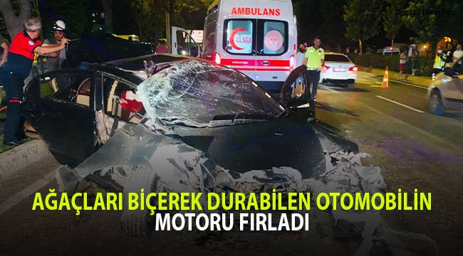 Ağaçları biçerek durabilen otomobilin motoru fırladı