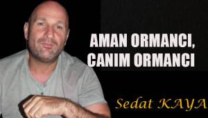 AMAN ORMANCI, CANIM ORMANCI