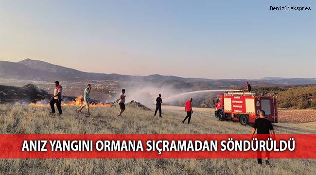 Anız yangını ormana sıçramadan söndürüldü