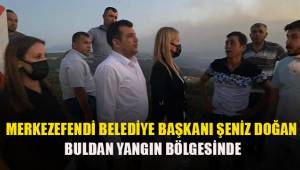 Başkan Doğan yangın bölgesinde